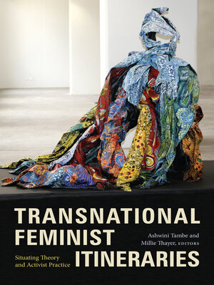 cover image of Transnational Feminist Itineraries